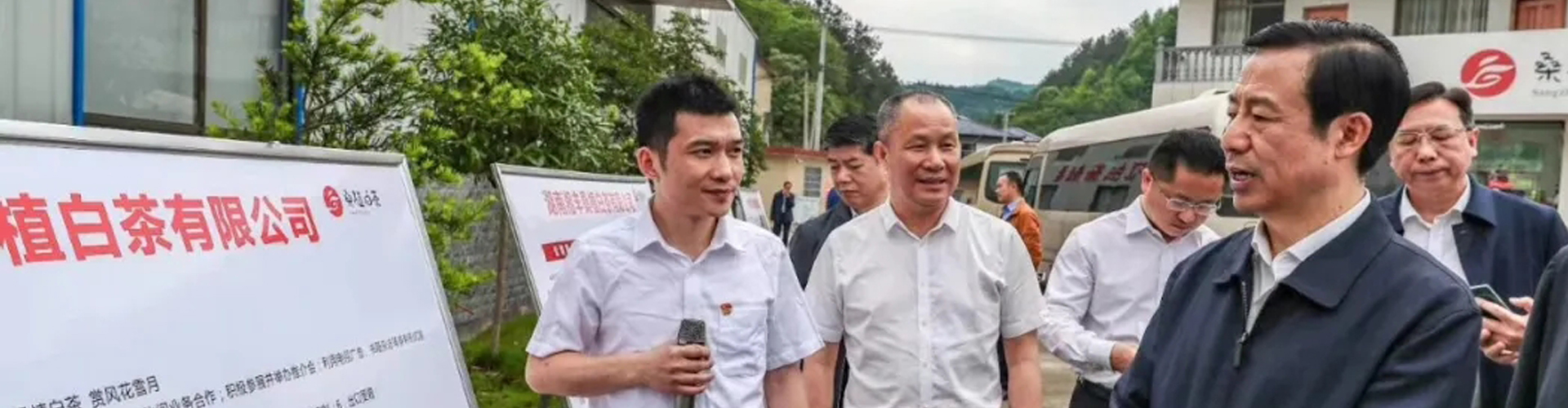 湖南省委副书记、省长许达哲视察ld体育（中国）官方网站-LD sport桑植白茶公司