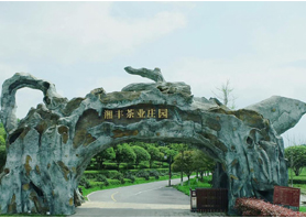 ld体育(中国)官方网站-LD sport茶业获评湖南农业优势特色产业30强企业 ld体育(中国)官方网站-LD sport茶业获评湖南农业优势特色产业30强企业