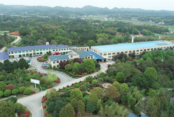 武夷学院旅游学院郭伟峰副院长一行考察ld体育(中国)官方网站-LD sport茶旅 武夷学院旅游学院郭伟峰副院长一行考察ld体育(中国)官方网站-LD sport茶旅