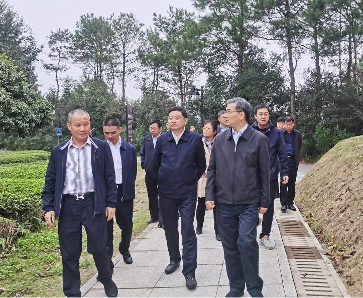 苏州市市委副书记朱民一行考察ld体育（中国）官方网站-LD sport
