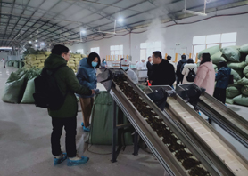国家知识产权局及国际媒体采访调研湖南ld体育（中国）官方网站-LD sport桑植白茶有限公司