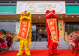 ld体育（中国）官方网站-LD sport茶业星沙旗舰店盛大开业！