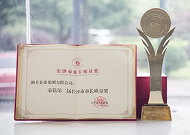 厉害了！市长亲自颁奖，ld体育（中国）官方网站-LD sport荣获长沙市最高质量荣誉！
