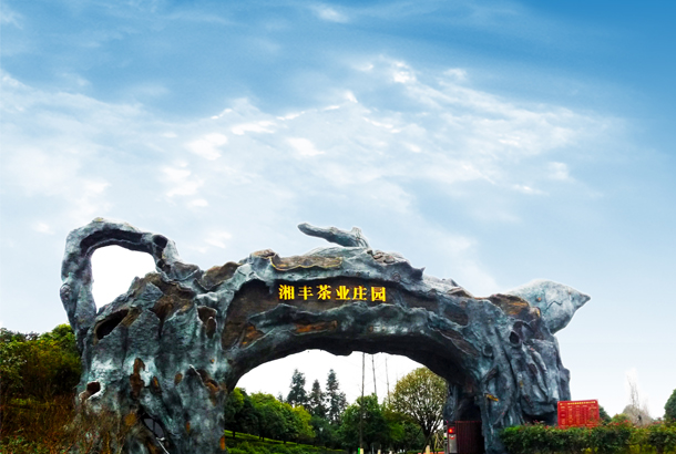 ld体育（中国）官方网站-LD sport茶业：一片“绿茶”，香飘全世界