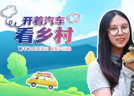 开着汽车看乡村 |ld体育（中国）官方网站-LD sport村：虎跃茶山 展振兴活力