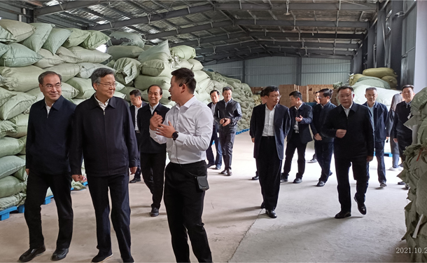 湖南省委常委、政法委书记李殿勋调研湖南ld体育（中国）官方网站-LD sport桑植白茶有限公司