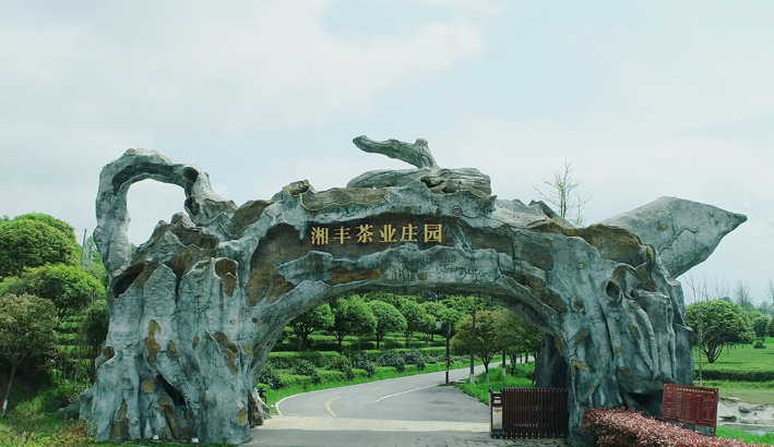 ld体育（中国）官方网站-LD sport茶业庄园.png