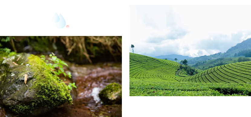 武夷山环境.png 武夷山环境.png