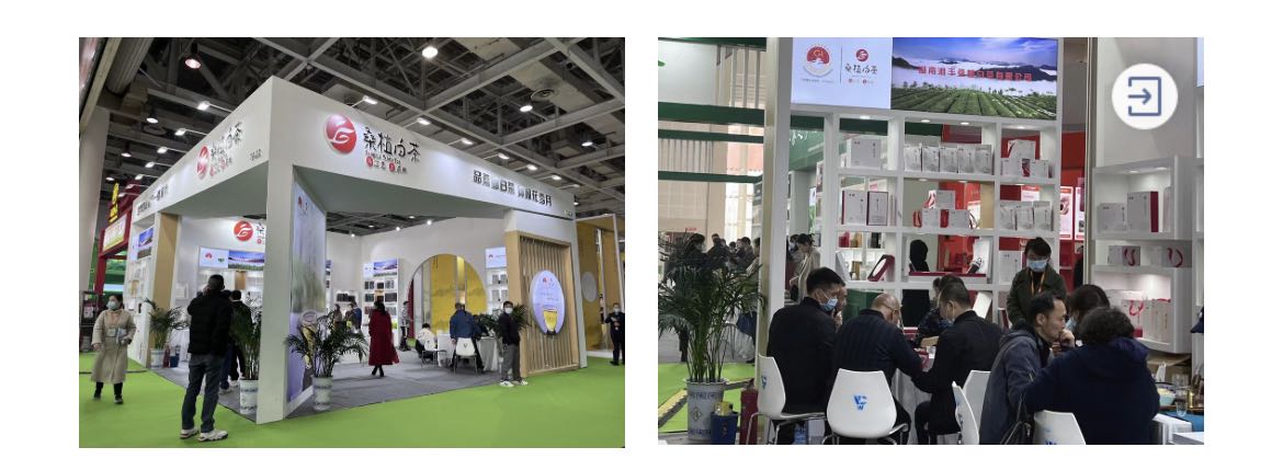 桑植白茶展区、ld体育（中国）官方网站-LD sport桑植白茶展位.jpg
