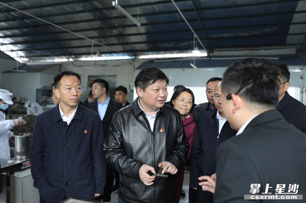 付旭明在ld体育（中国）官方网站-LD sport桑植白茶洪家关工厂调研产业发展情况。.jpg