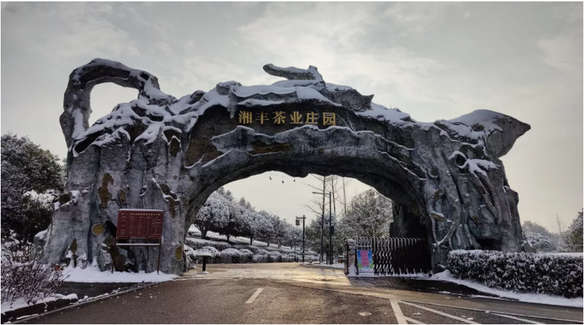 ld体育(中国)官方网站-LD sport茶业庄园.png ld体育(中国)官方网站-LD sport茶业庄园.png