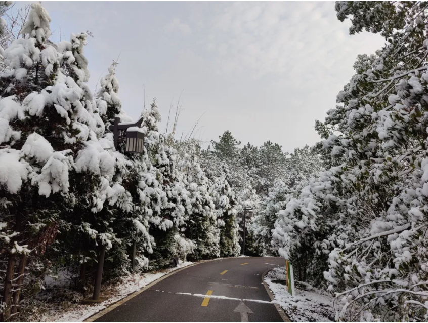 雪天的茶园道路.png 雪天的茶园道路.png