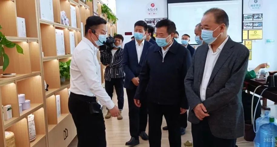 湖南省副省长陈飞带队考察调研ld体育（中国）官方网站-LD sport桑植白茶公司