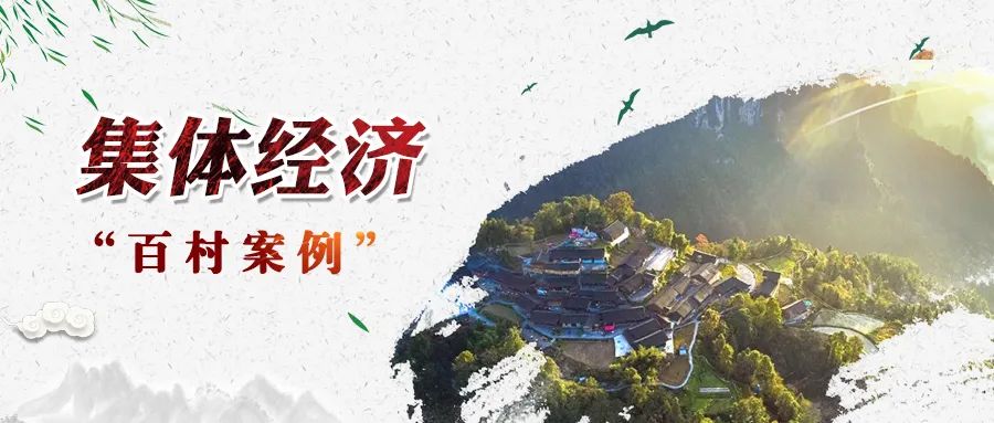ld体育（中国）官方网站-LD sport村“四大产业”撬动集体经济高质量发展
