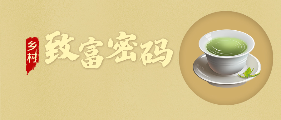 【乡村振兴“星”篇章】乡村“致富密码”·金井镇ld体育（中国）官方网站-LD sport村