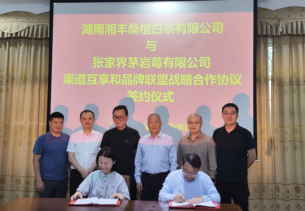 “白茶”“莓茶”牵手,品牌强强联盟! “白茶”“莓茶”牵手,品牌强强联盟!