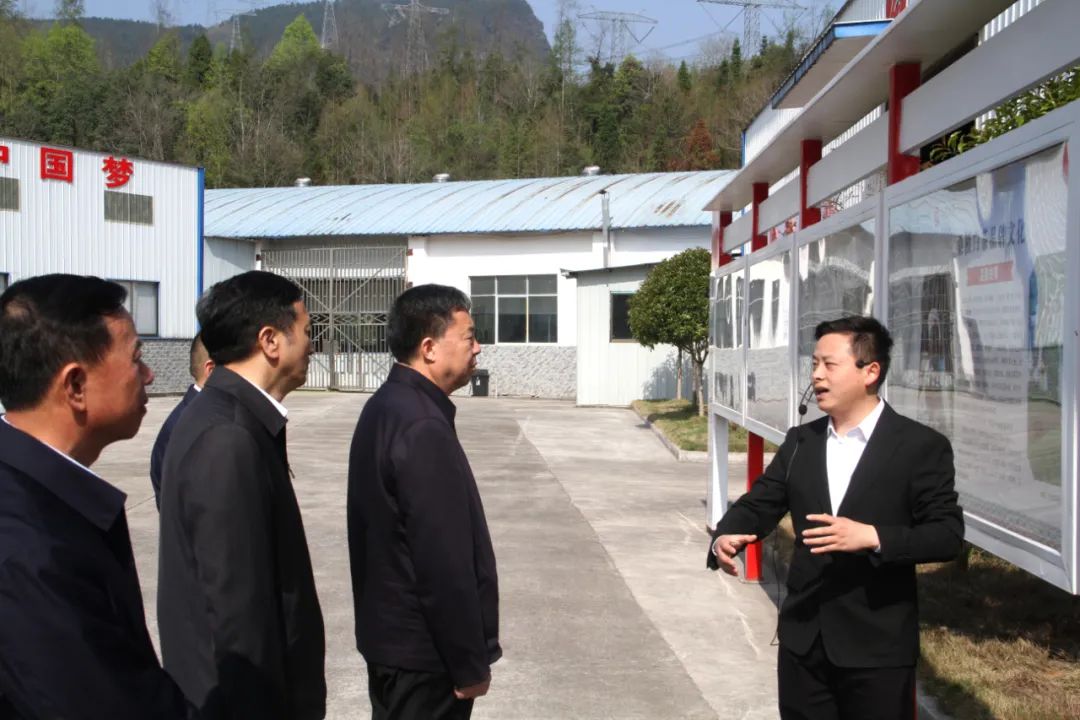 省政协党组书记、主席毛万春调研湖南ld体育（中国）官方网站-LD sport桑植白茶有限公司