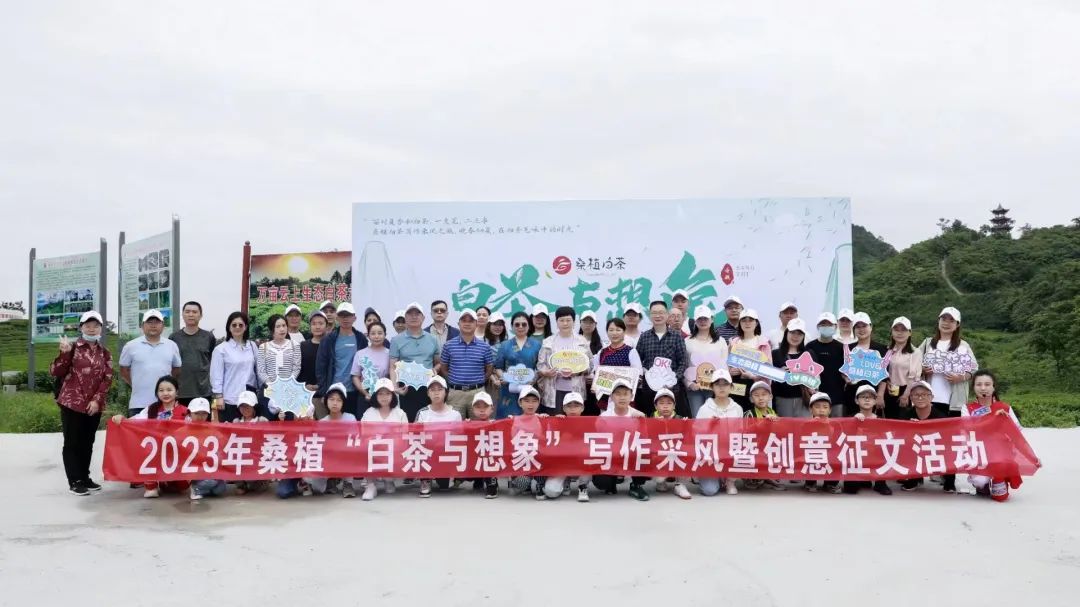 桑植白茶与文学邂逅 文化赋能茶产业发展 桑植白茶与文学邂逅 文化赋能茶产业发展