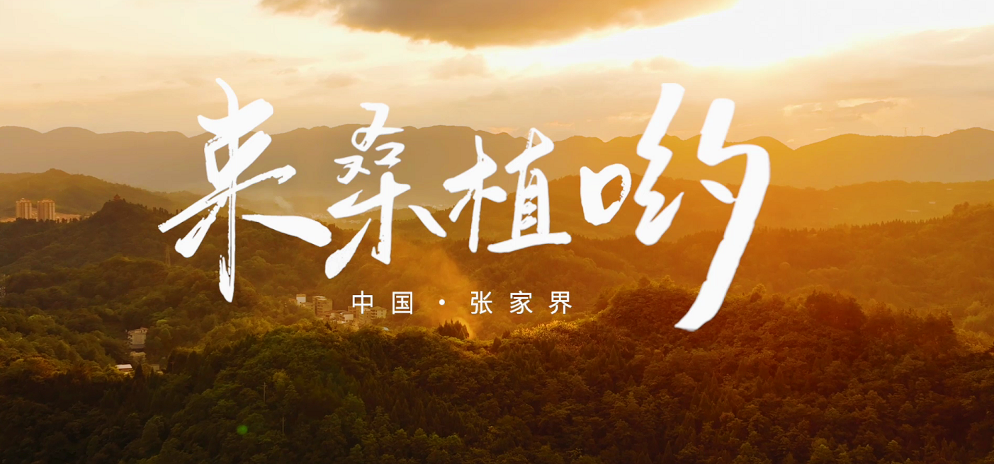 桑植推广歌曲《来桑植哟》发布! 桑植推广歌曲《来桑植哟》发布!