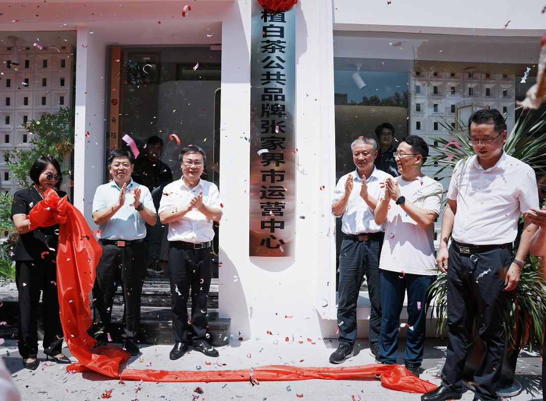 喜报!张家界白莓旗舰店盛装开业暨桑植白茶公共品牌张家界市运营中心隆重揭牌! 喜报!张家界白莓旗舰店盛装开业暨桑植白茶公共品牌张家界市运营中心隆重揭牌!