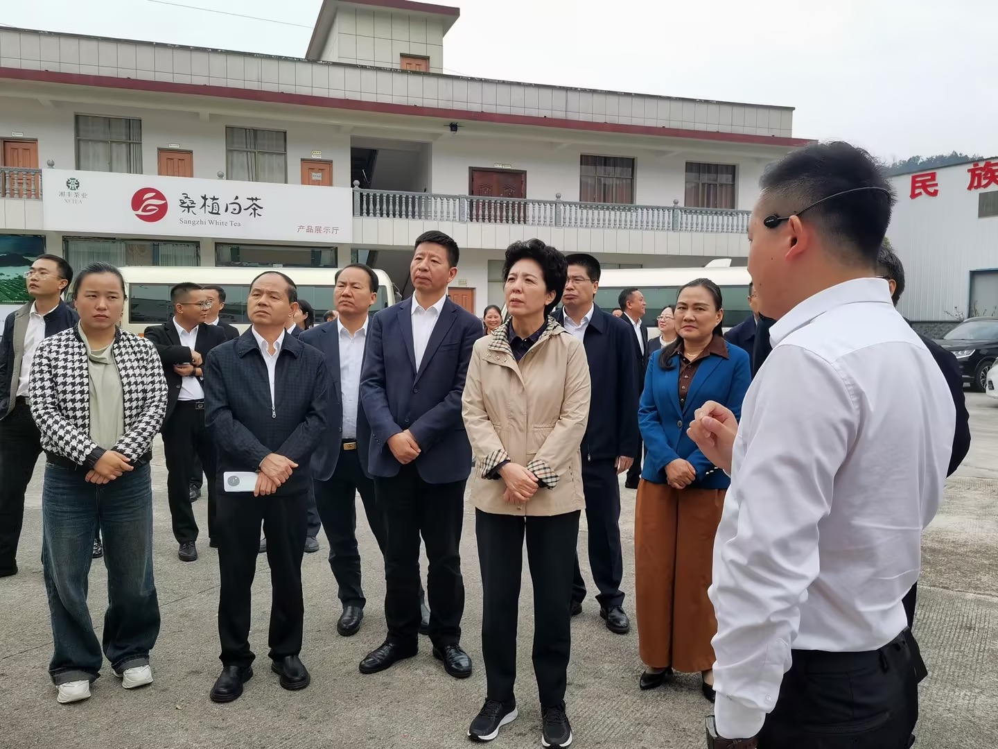 湖南省人大常委会党组书记乌兰带队考察调研ld体育（中国）官方网站-LD sport桑植白茶公司