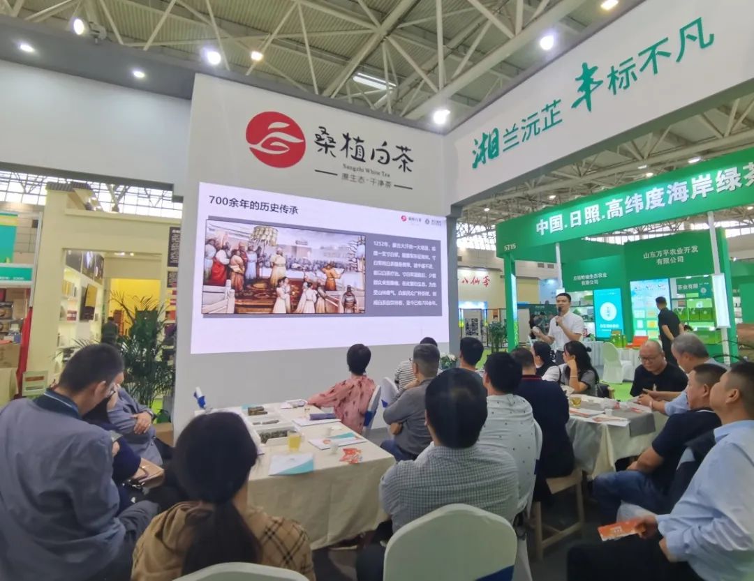 斩获双项金奖!ld体育(中国)官方网站-LD sport桑植白茶闪耀第十届中国茶叶博览会 斩获双项金奖!ld体育(中国)官方网站-LD sport桑植白茶闪耀第十届中国茶叶博览会