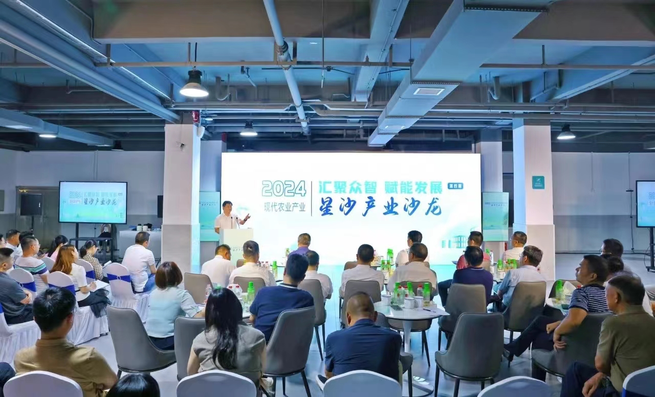 第四期星沙产业沙龙在ld体育（中国）官方网站-LD sport创新产业园举行