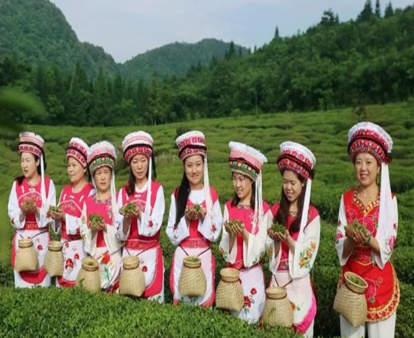 微信截图_20240910100953.png 微信截图_20240910100953.png