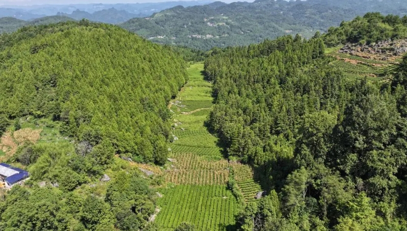 微信截图_20240910101007.png 微信截图_20240910101007.png
