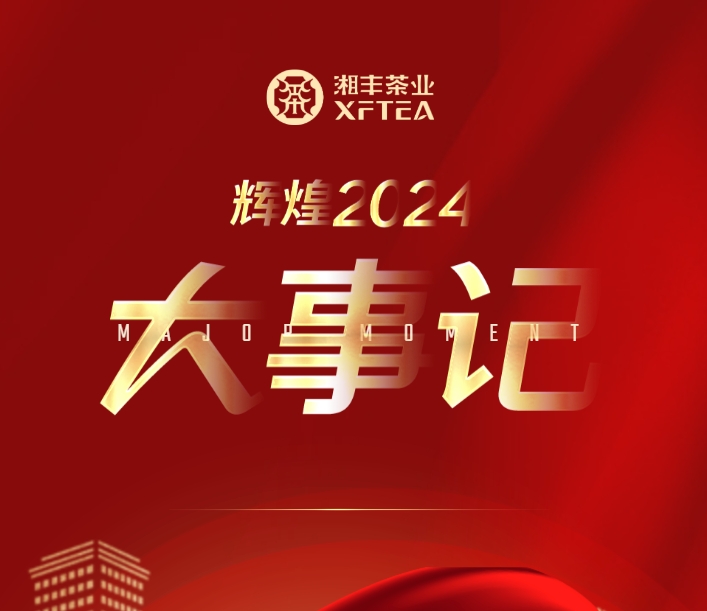 辉煌2024 | ld体育（中国）官方网站-LD sport
年度大事记