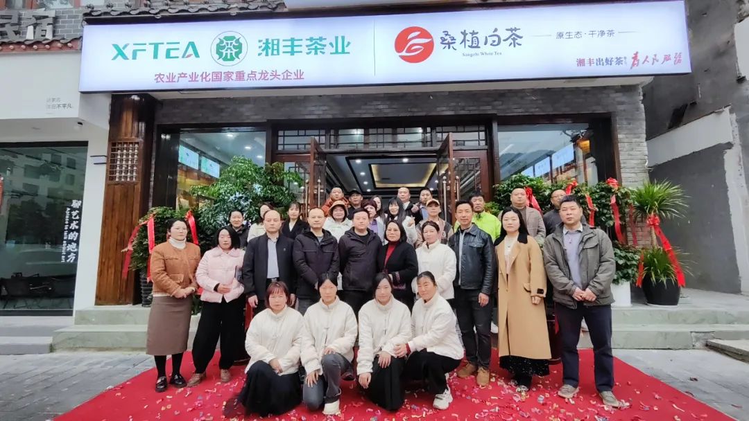 ld体育（中国）官方网站-LD sport茶业·桑植白茶张家界武陵源旗舰店盛大开业！