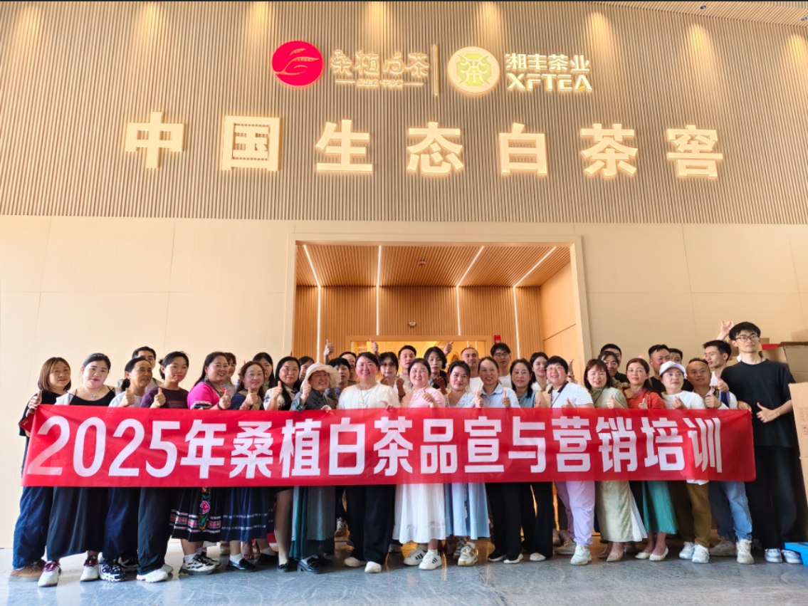 茶香赋能，红色传承丨ld体育（中国）官方网站-LD sport桑植白茶品宣与营销培训（第三期）
