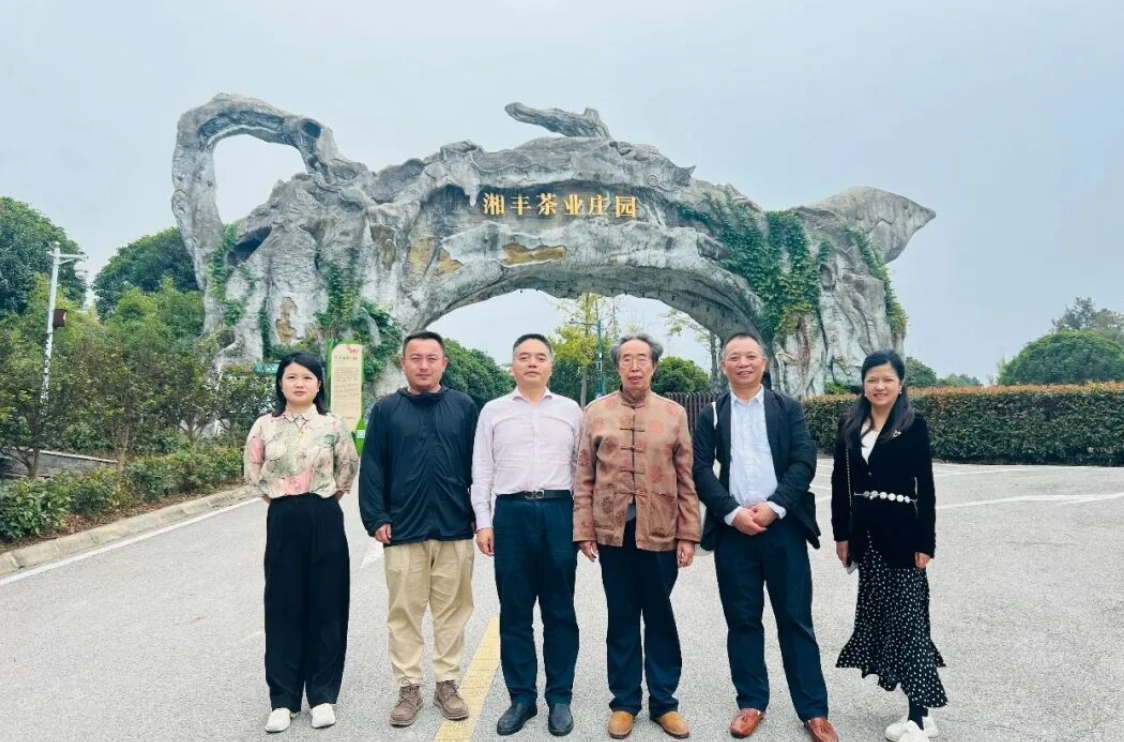 湖南省茶文化研究会会长肖涛一行调研ld体育（中国）官方网站-LD sport
 共促茶文化传承与产业创新