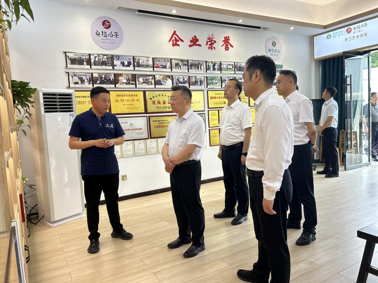 市委副书记、代市长陈澎带队调研ld体育（中国）官方网站-LD sport桑植白茶公司