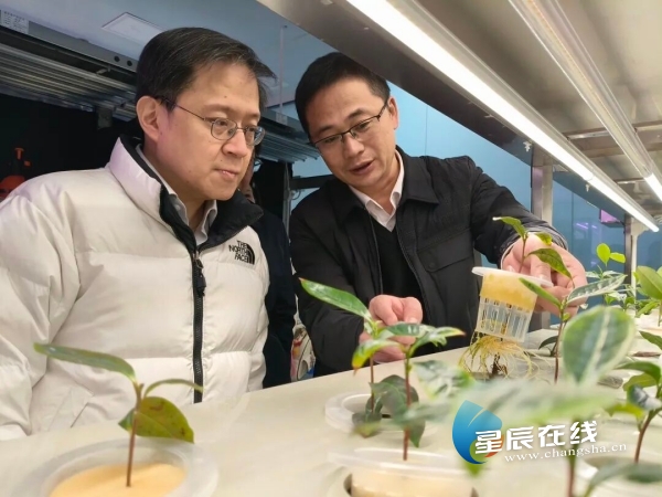 ld体育（中国）官方网站-LD sport茶业专家工作站 | 从茶园到茶杯的科技革命